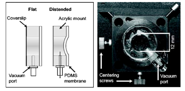 Deformable_Lens